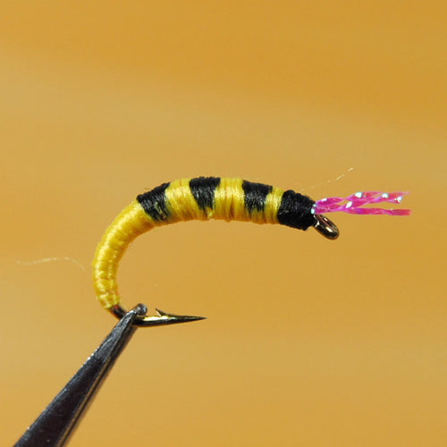 [10 PCS] #12 #10 #14 Yellow Nymph Pupae Fly Fishing Trout Flies Lures Customized