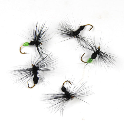 10PCS Wifreo Ant Fly Black & Green Butt Ants for Trout Fly Fishing