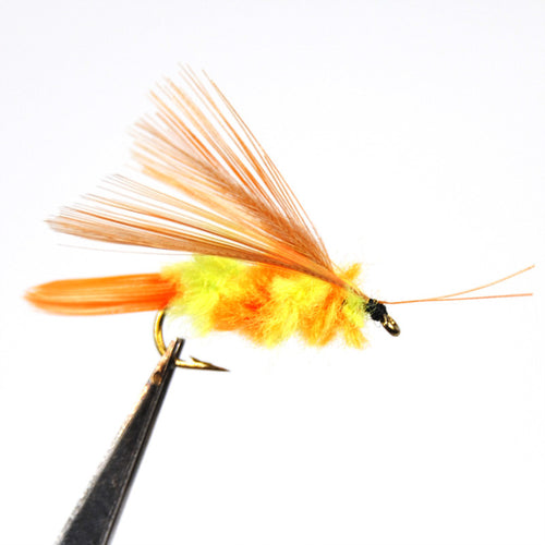 10PCS 10# Bee Fly Trout Fishing Dry Fly Wifreo Box Package