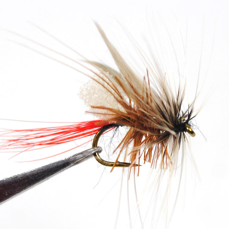 10PCS 14# Wifreo Foam Trout Fishing Dry Fly Mayfly Caddis
